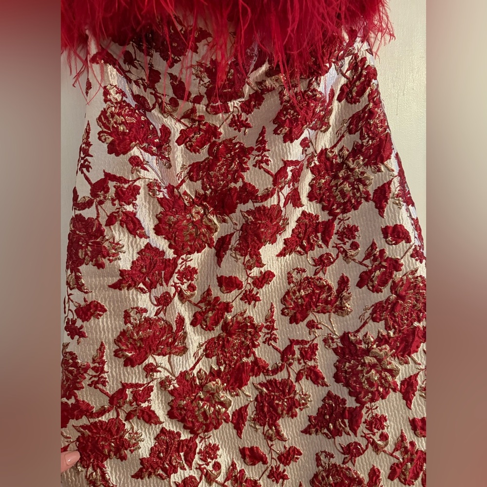 Tuckernuck Strapless Dress with Red Floral Design - Picture 7 of 14